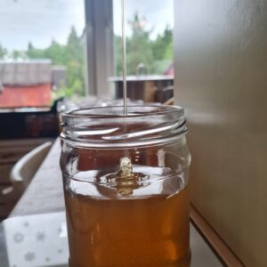Väljaotsa mesi purgis