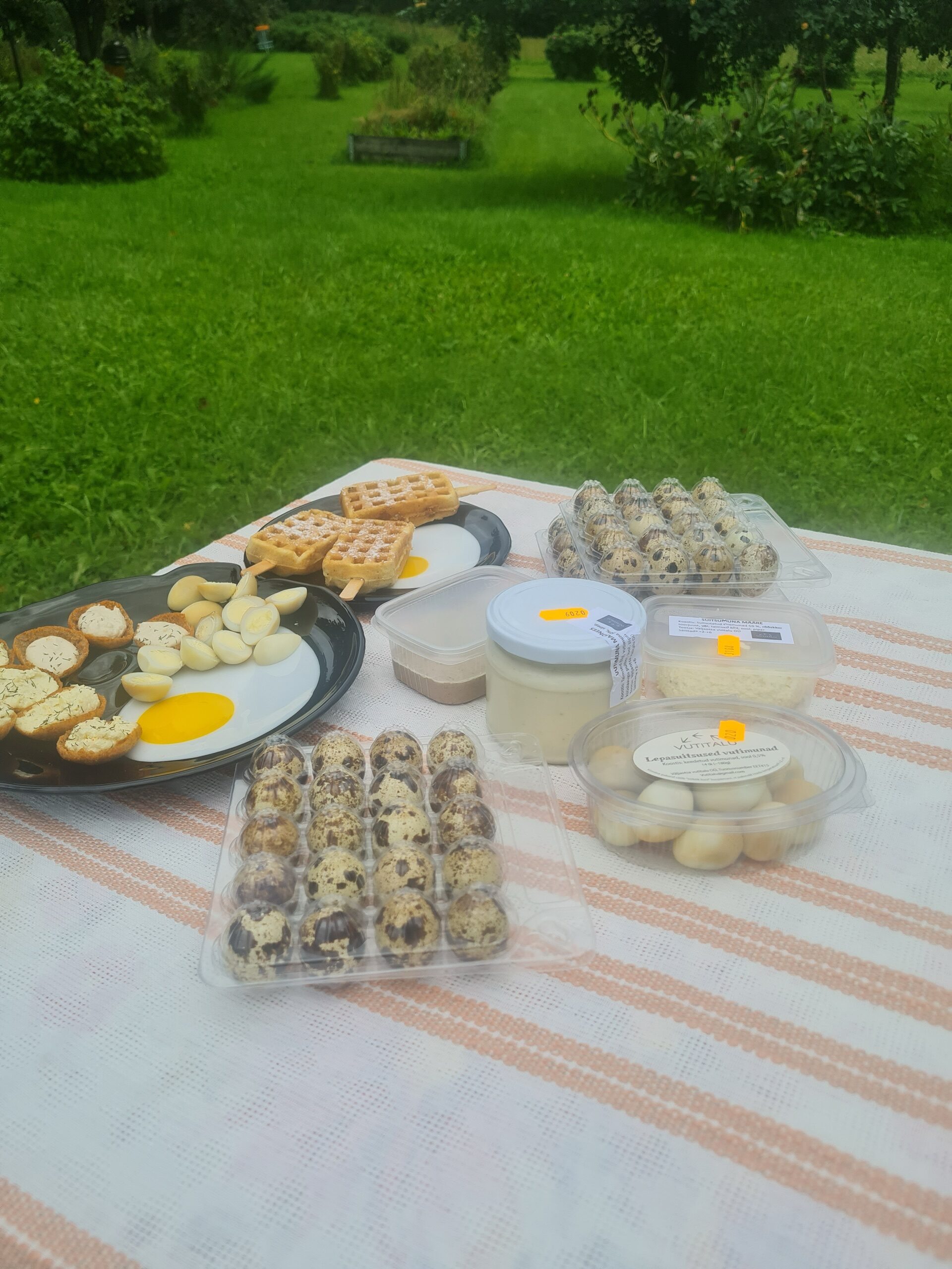 Vutitalu toodete ja vutimunade piknikulaud aias